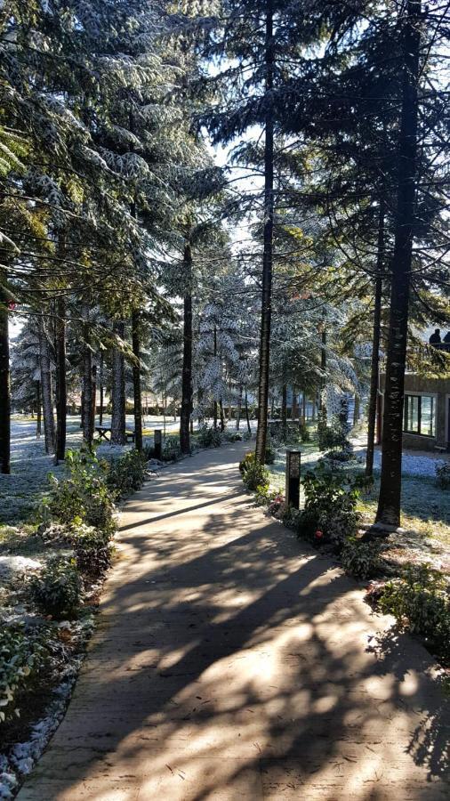 Bolu Koru Hotels Spa & Convention Yolcatı Extérieur photo